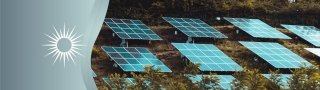 Учёным из Екатеринбурга удалось увеличить эффективность солнечной панели с помощью электрода